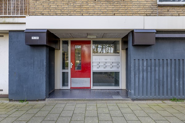 Medium property photo - Bosseplaat 125, 3181 ZC Rozenburg